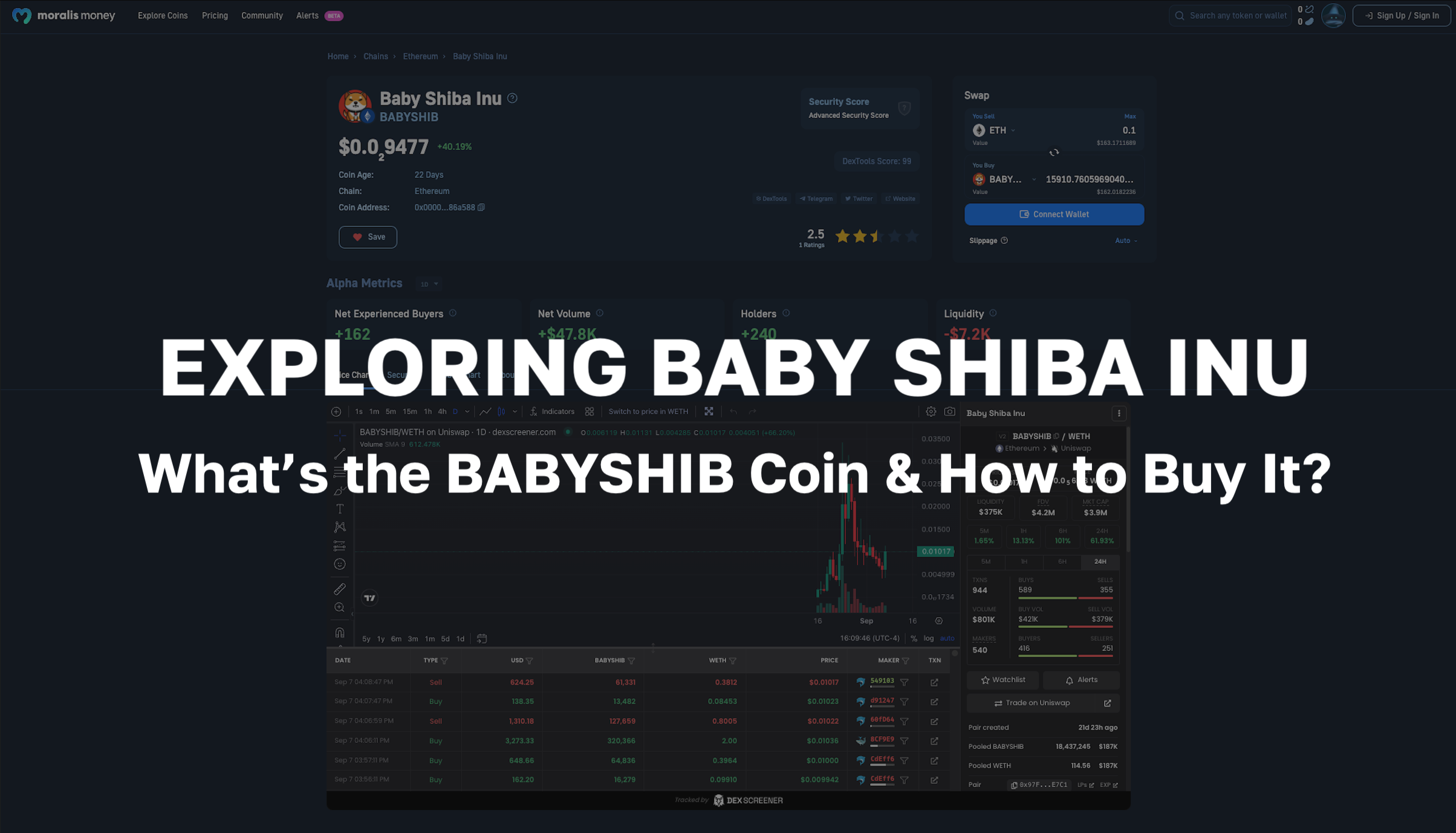 What is the Baby Shiba Inu Coin, and How Can You Buy BABYSHIB?