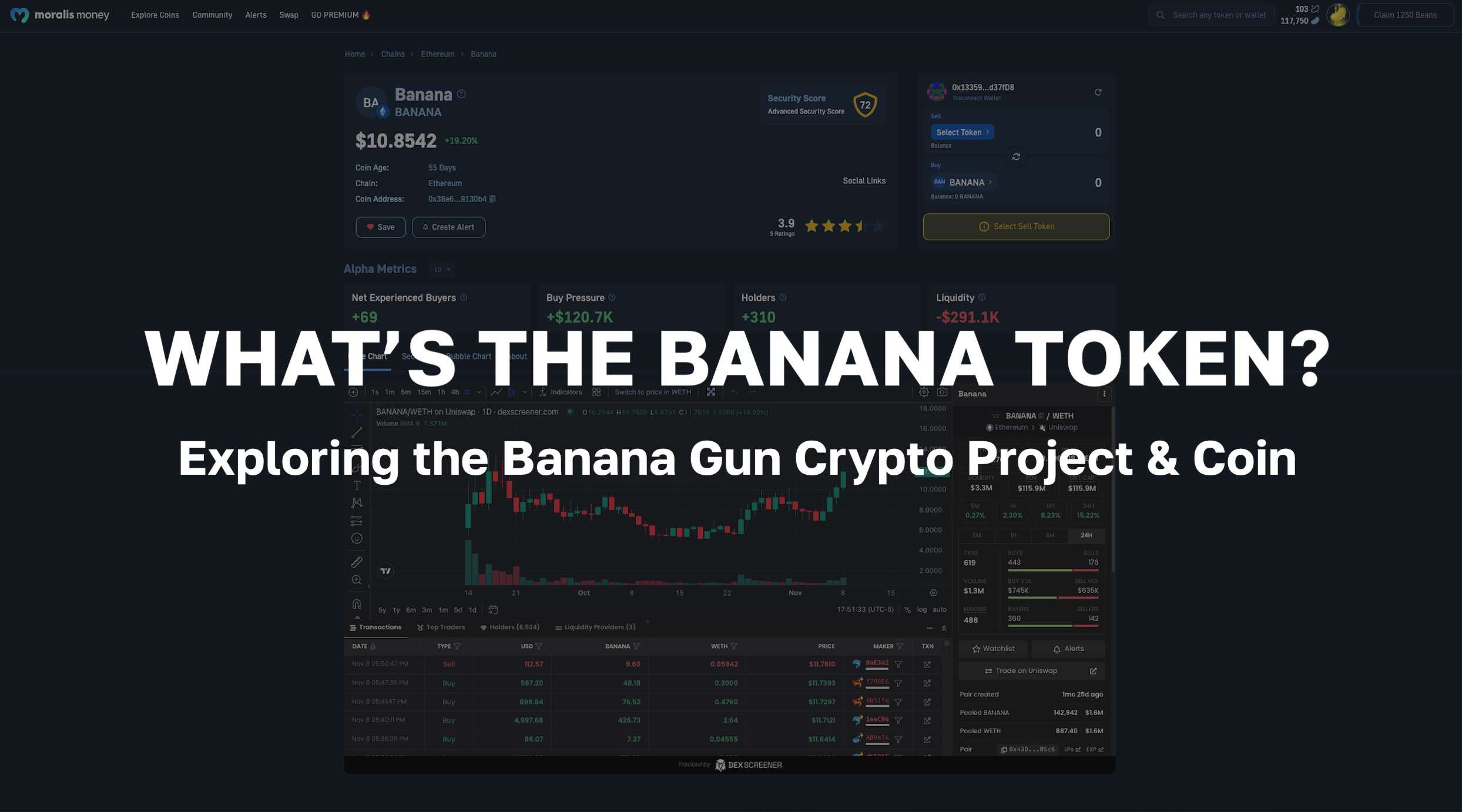 What’s the BANANA Token? Exploring the Banana Gun Crypto Project