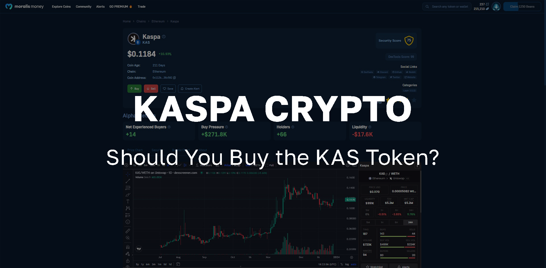 Should You Buy the Kaspa Crypto On-Chain Trading Signals for the KAS Token - article featured image